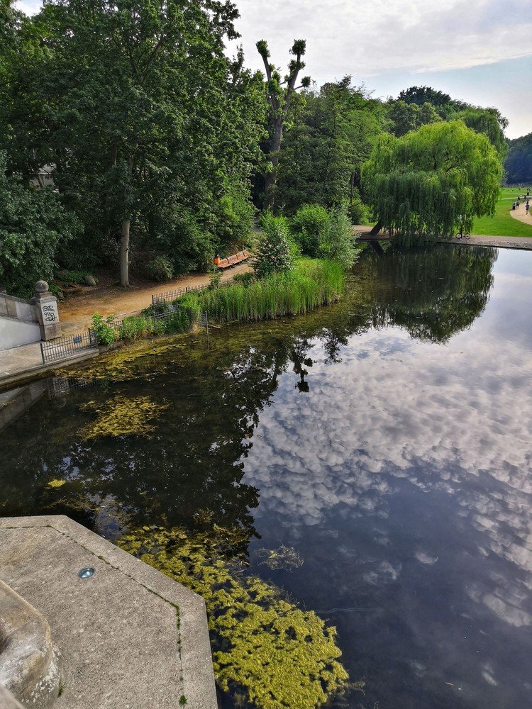 Photograph by Виктория Федосеенко