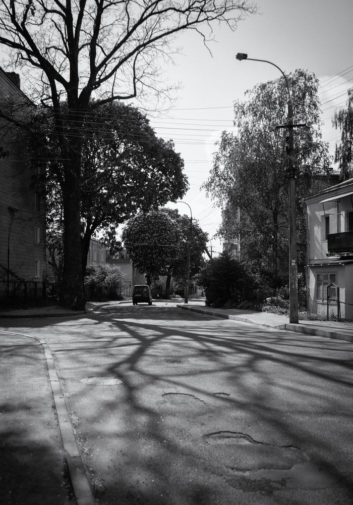 Photograph by Галина Нечипорук