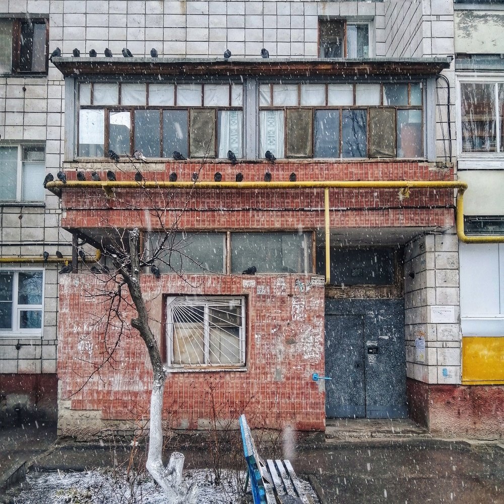 Photograph by Денис Козьяков