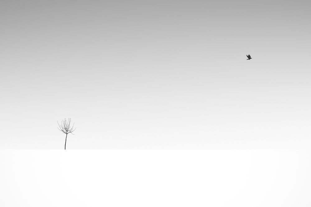 Photograph by Yones Mahmoudi