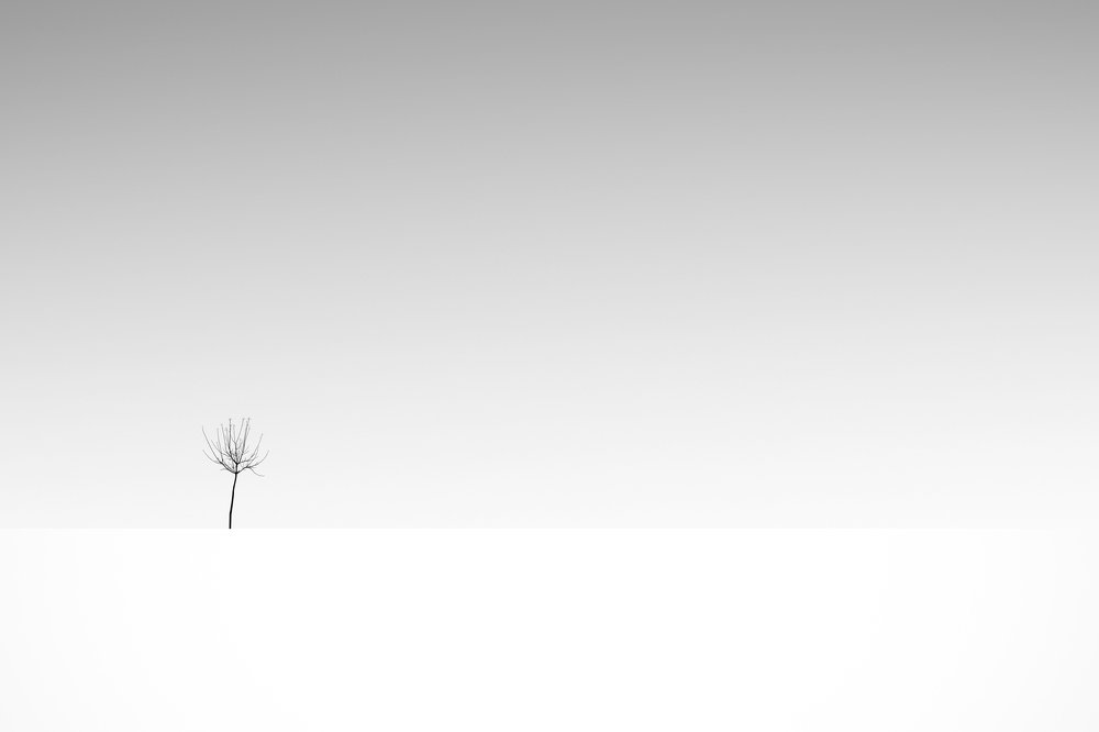 Photograph by Yones Mahmoudi