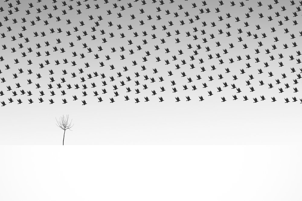 Photograph by Yones Mahmoudi