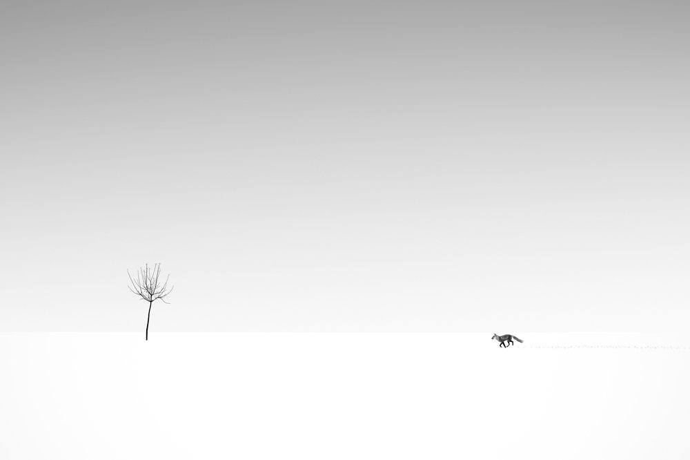 Photograph by Yones Mahmoudi