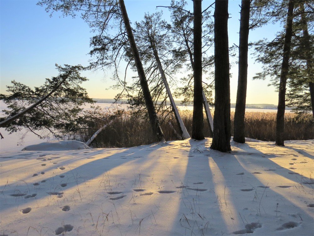 Photograph by Лариса Гайнигелимовна