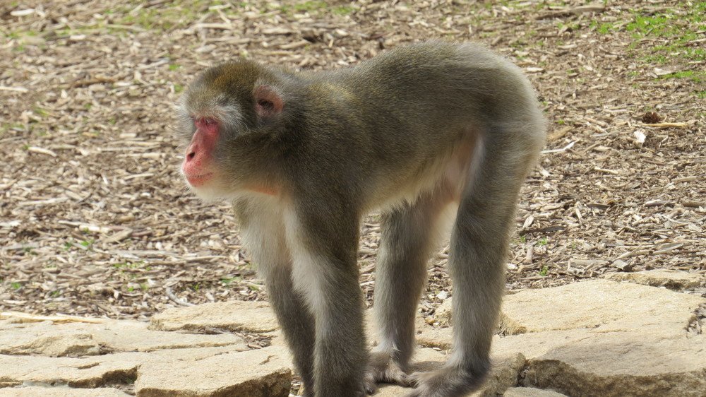 Photograph by Лариса Гайнигелимовна