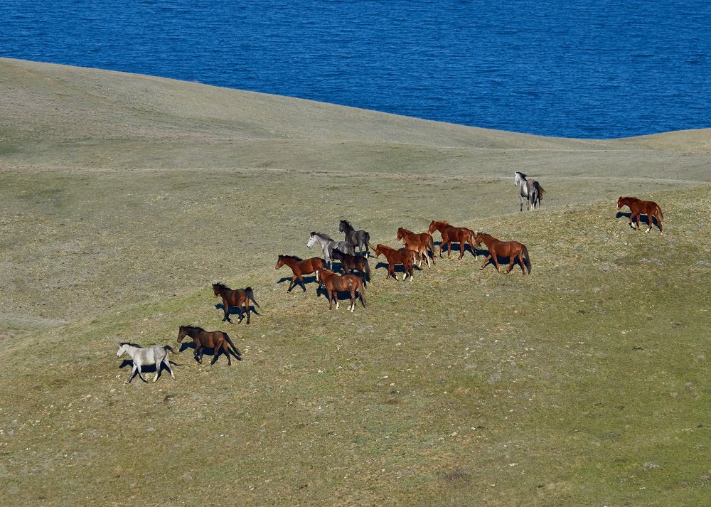 Photograph by Наталья Богач