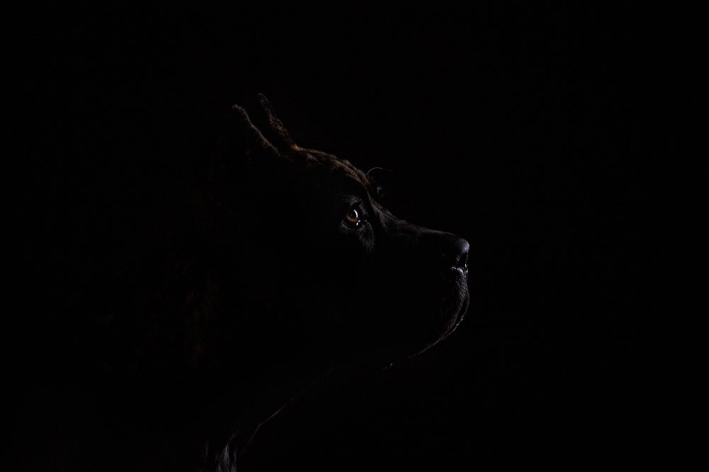 Photograph by Ирина Корх