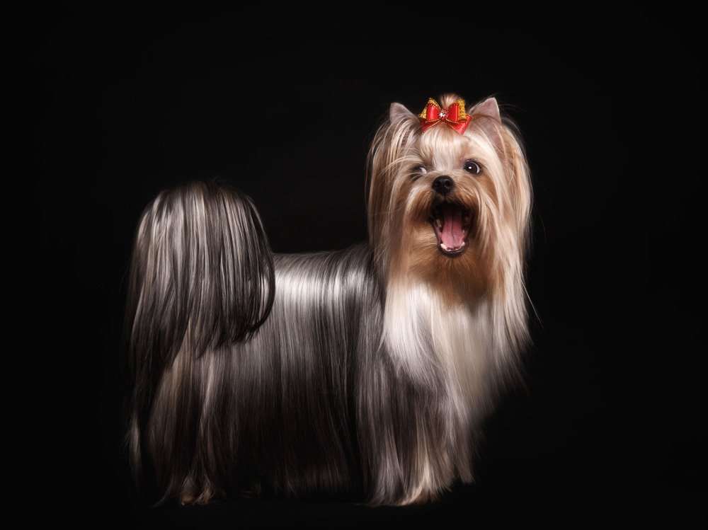 Photograph by Ирина Корх