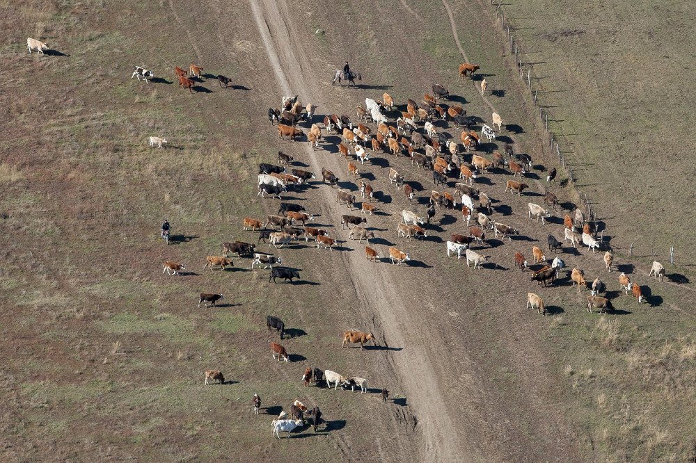Фотография автора Юрий Литвинов