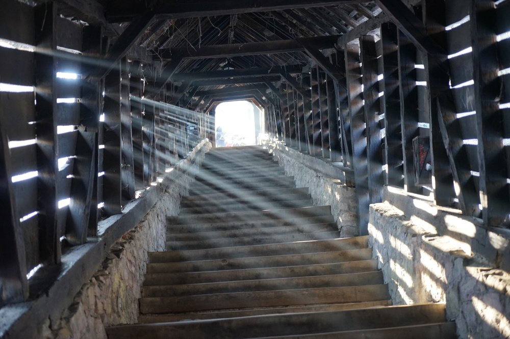 Фотография автора Ирина Зайцева