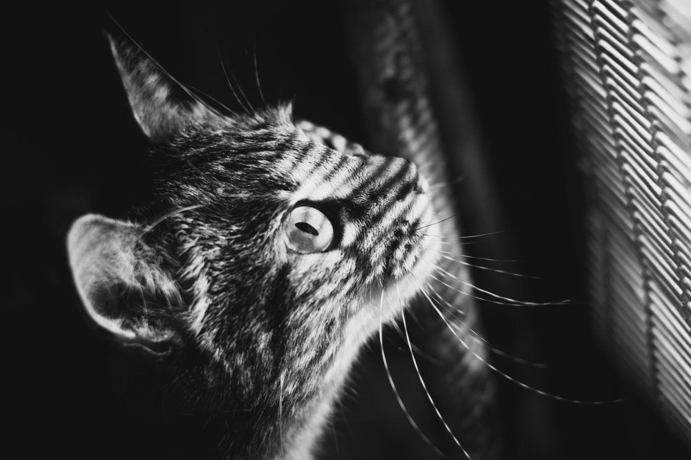 Photograph by Нафикова Оксана