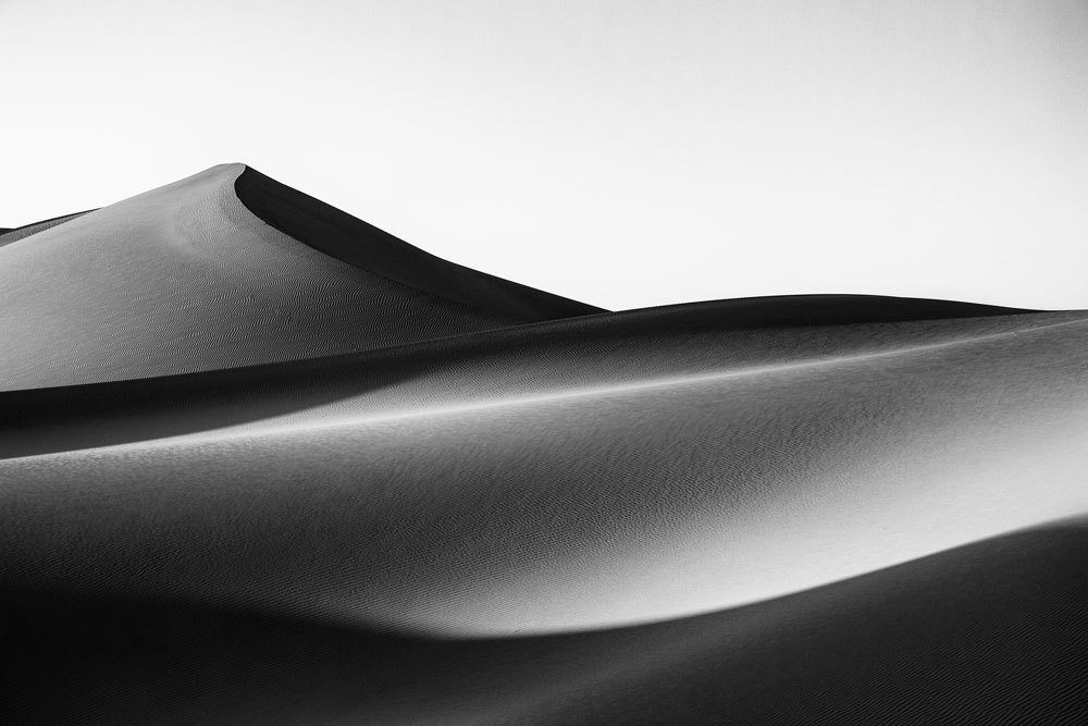 Photograph by Neda Abdelahi