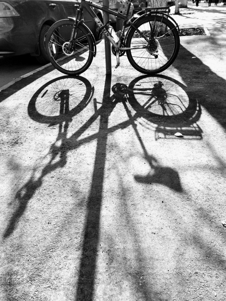 Photograph by Karina Yakovleva