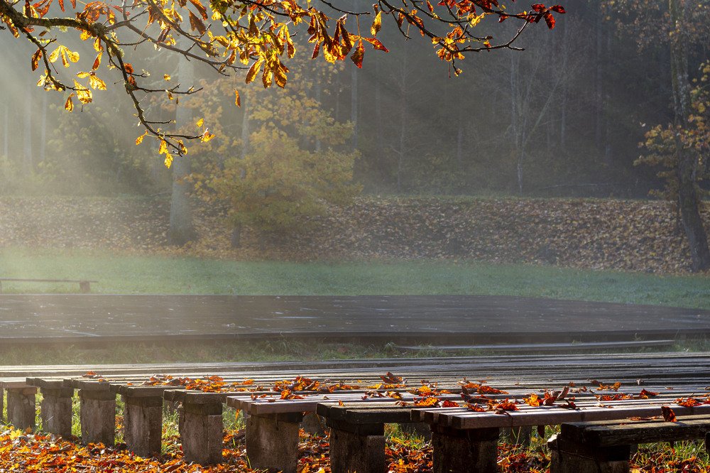 Photograph by Светлана