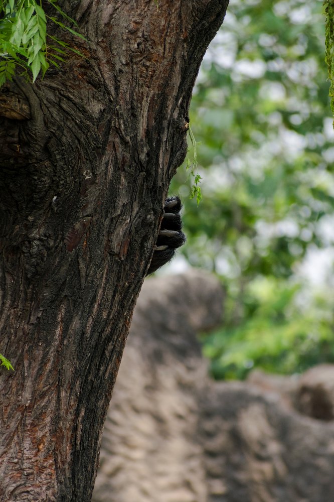 Photograph by Vedant rastogi