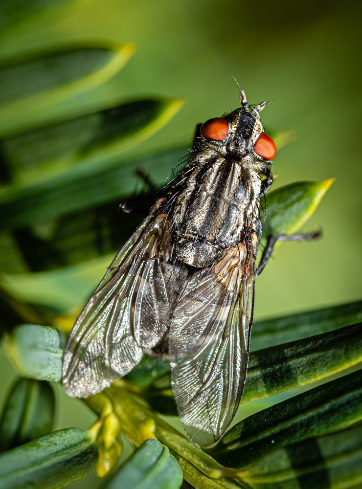 Photograph by Martynas Alejunas