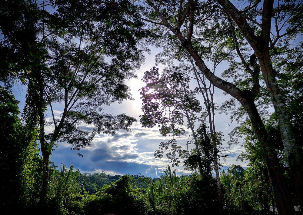 Photograph by Hawer Sandi