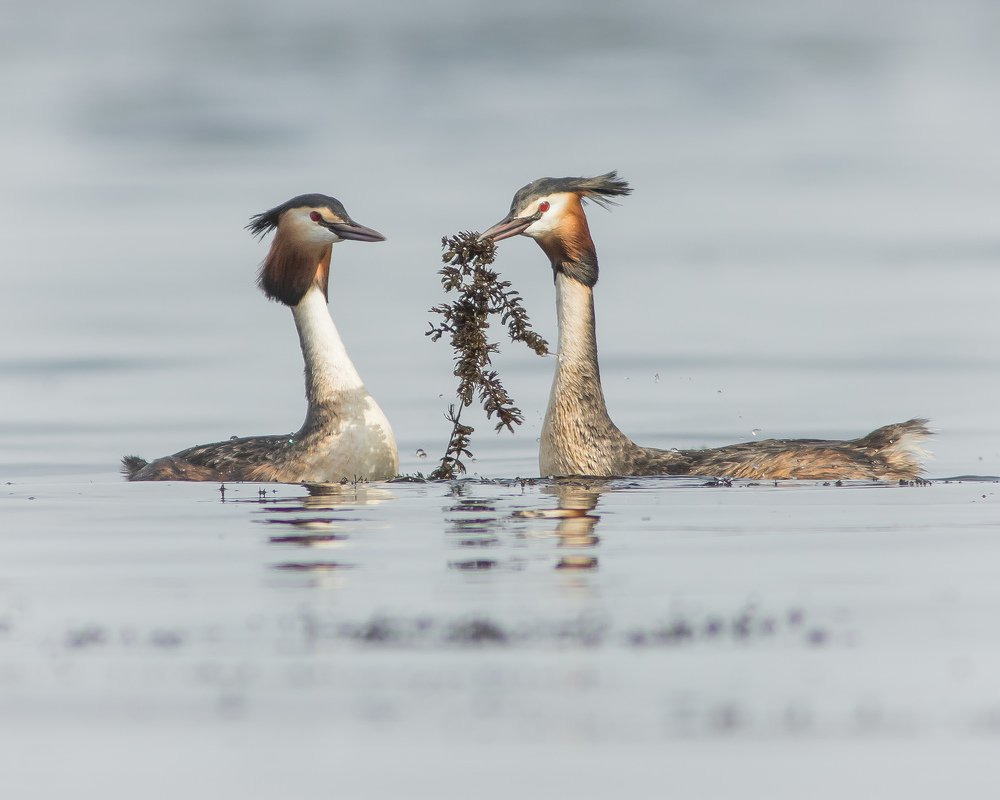 Подарок для любимой