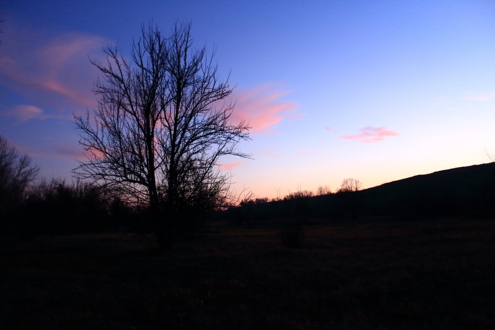 Photograph by Аленушка