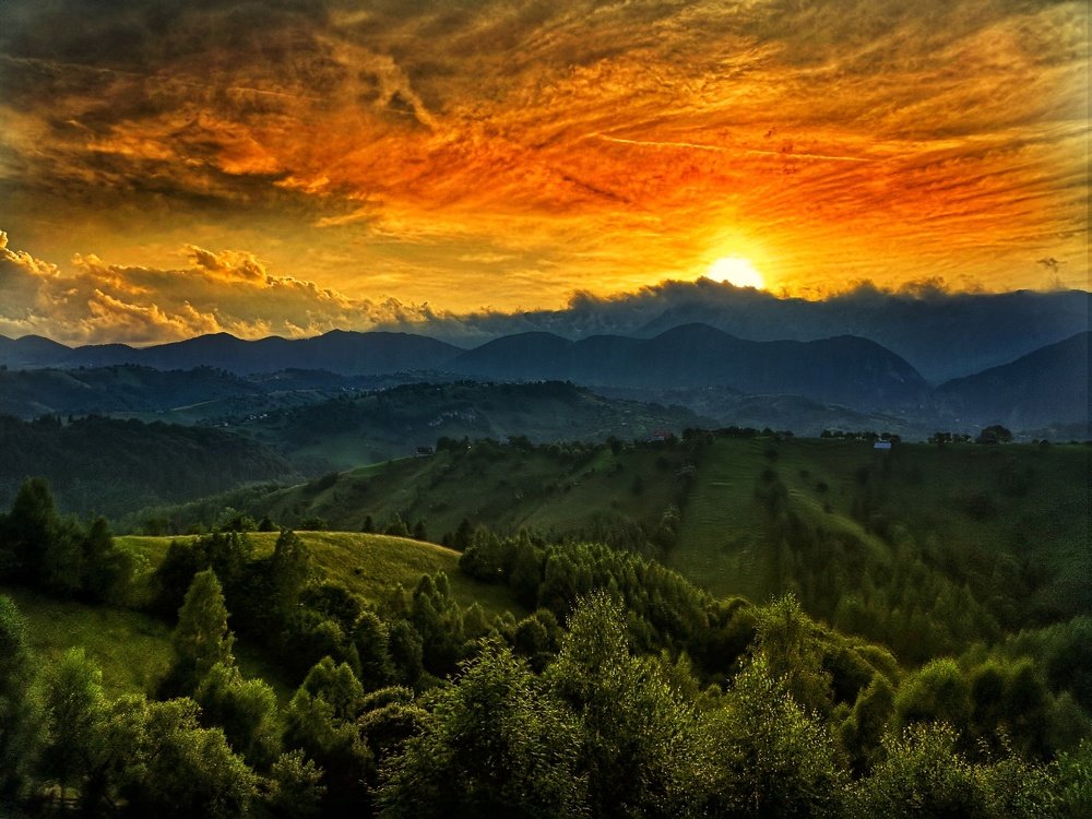 Photograph by Daria Virbanescu