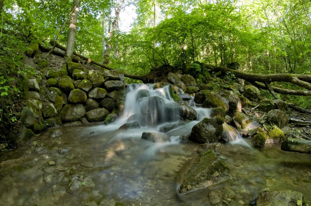 Photograph by Юрий Яковлев