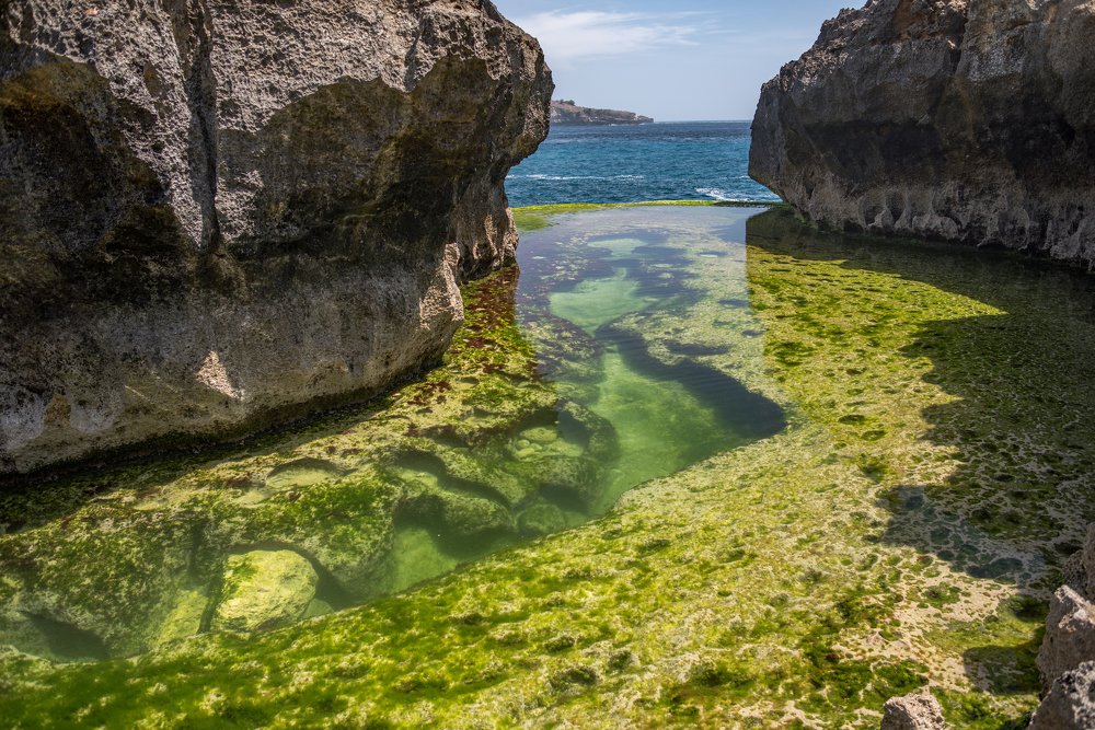 Photograph by slavka