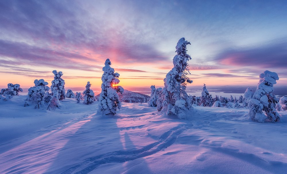 Photograph by Владимир Липецких
