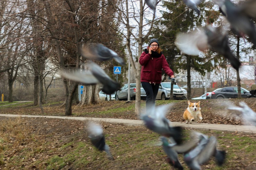 Photograph by Вадим Ситников