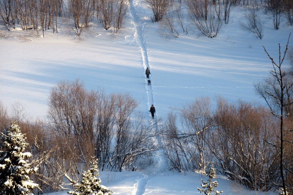 По тропинке.