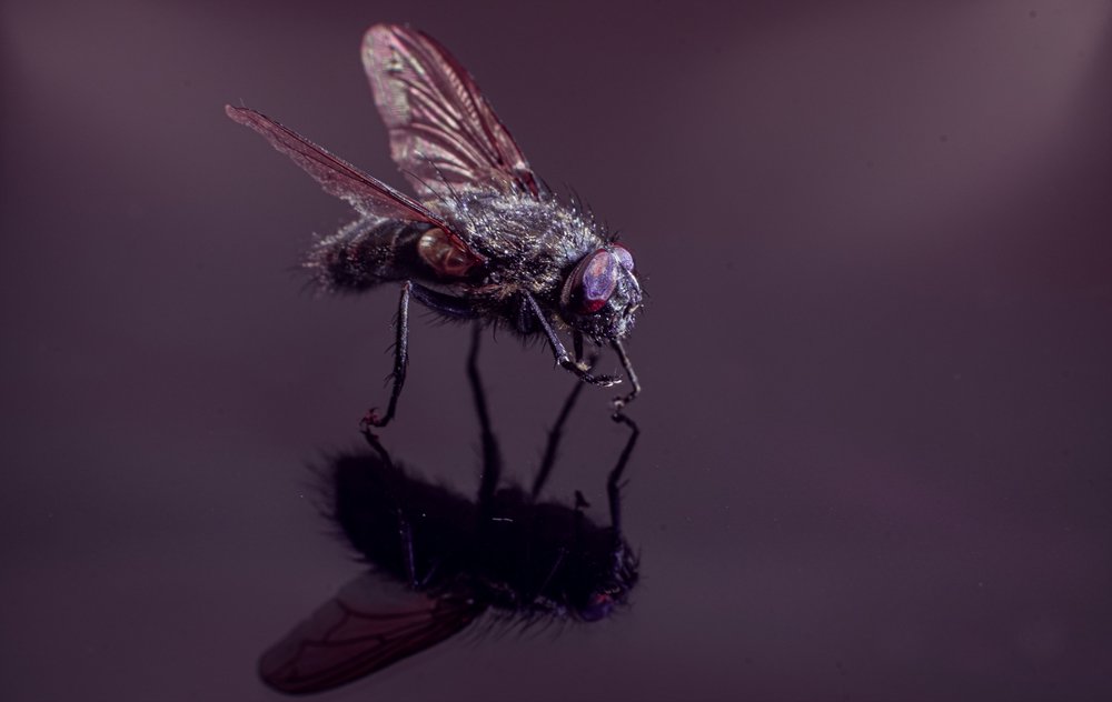 Фотография автора Алеся Кубаткина