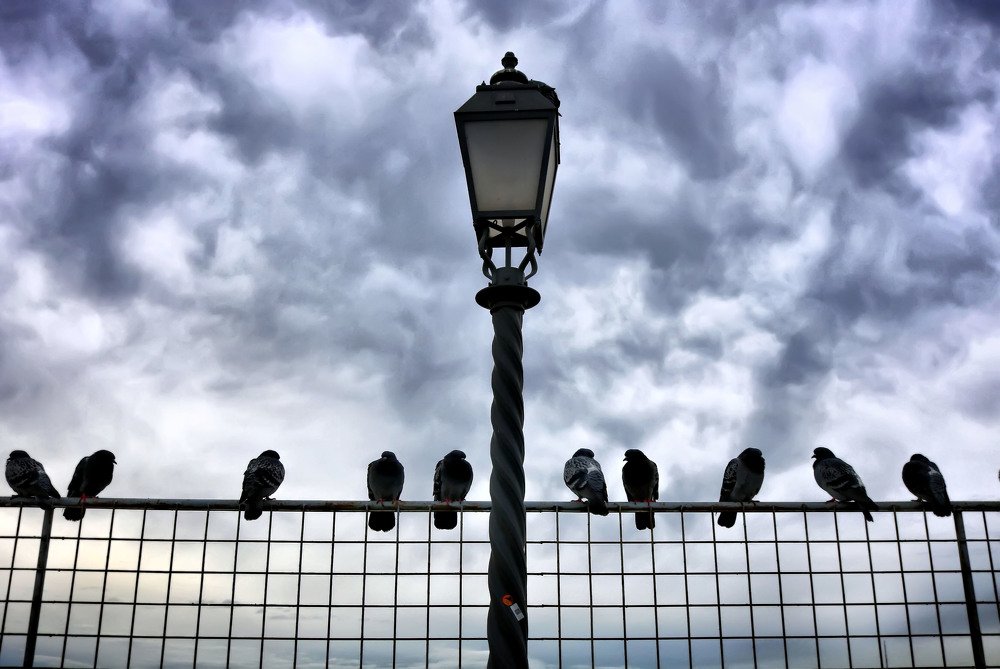 Фотография автора Анастасия Пищулова