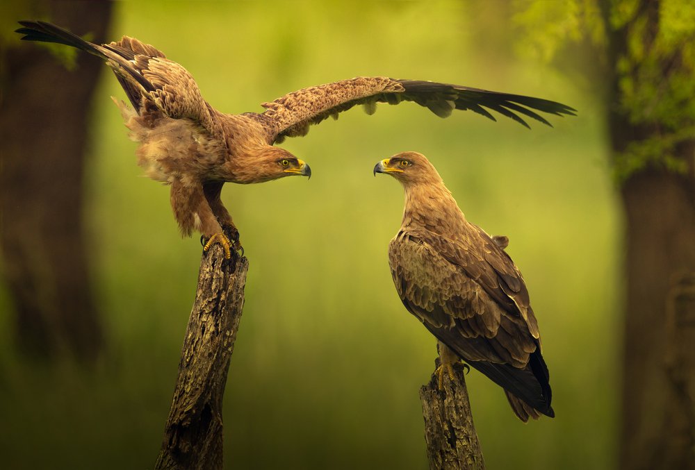 Photograph by Valentina Gibert