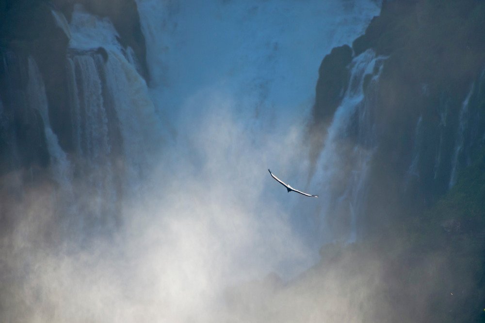 Photograph by Андрей Зуев