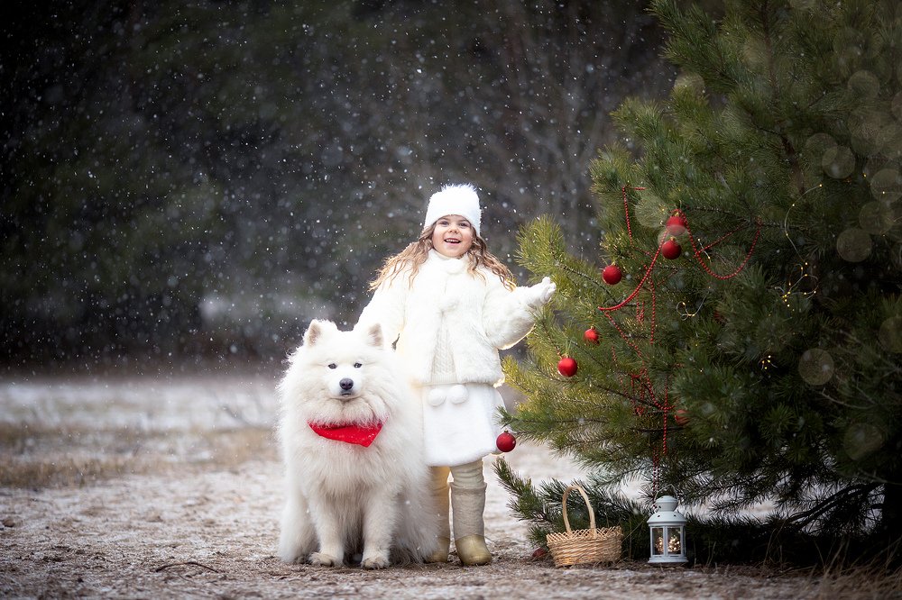 Photograph by Татьяна Гурова