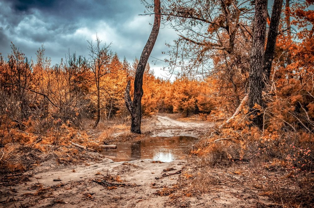 Photograph by Анна Соколова