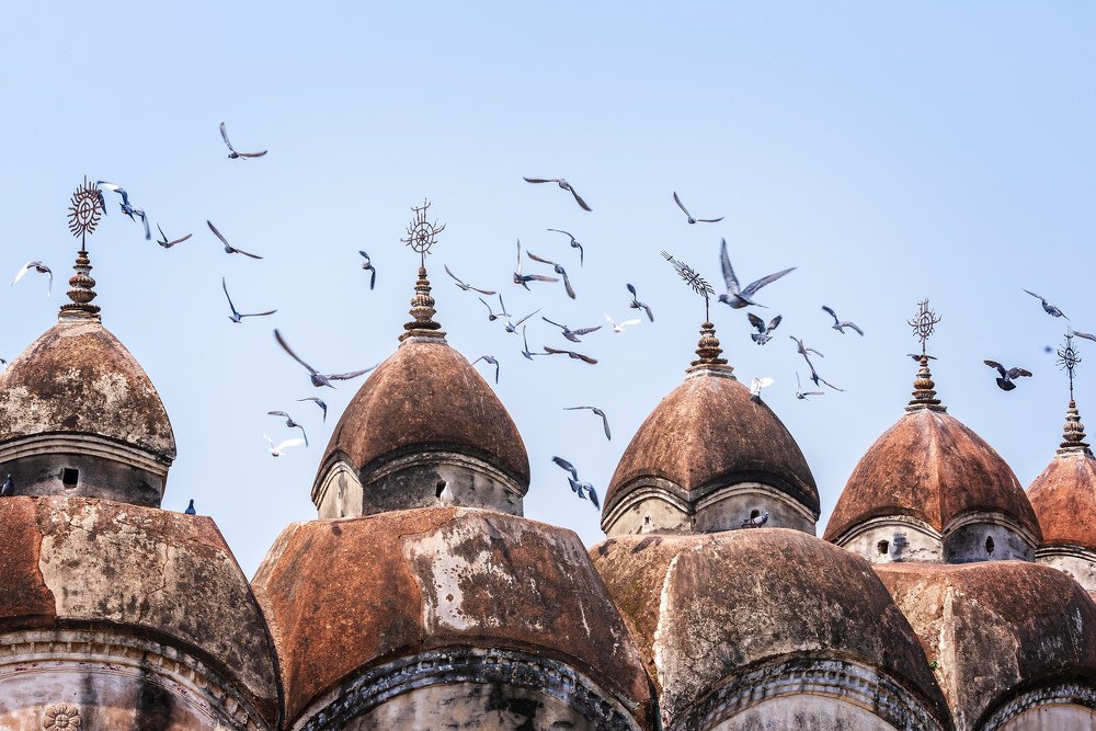 Photograph by Avigyan Roy