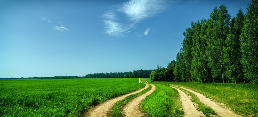 Photograph by Грязев Сергей