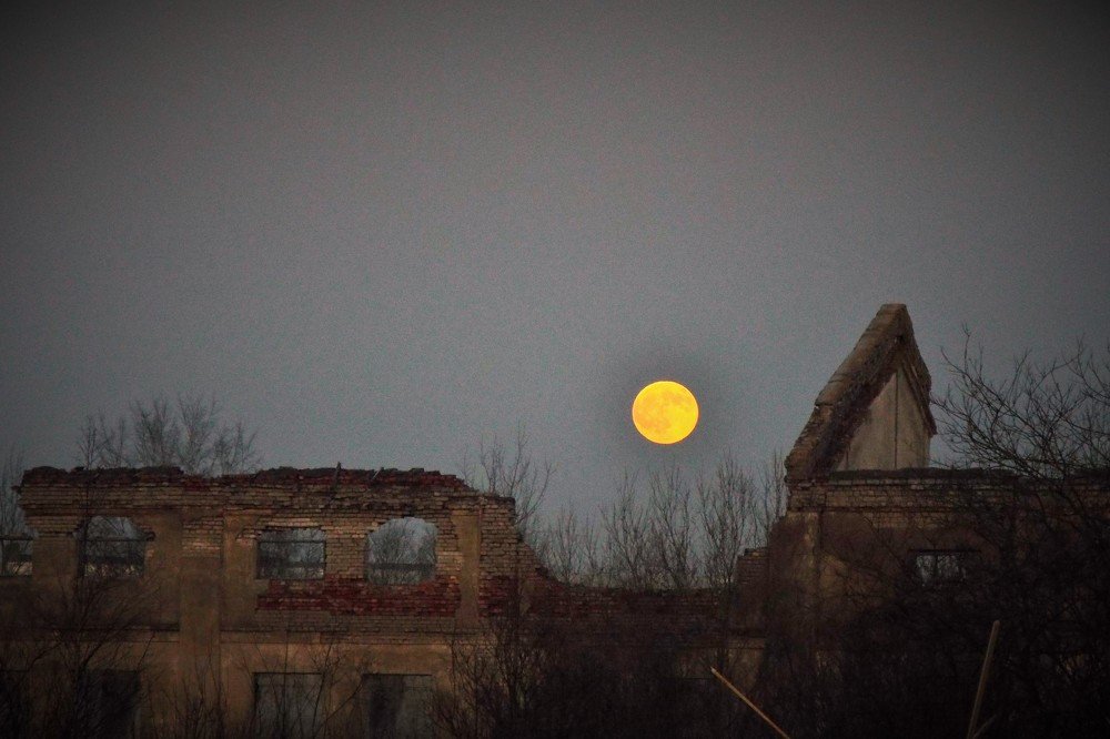 Фотография автора Виктор Конев