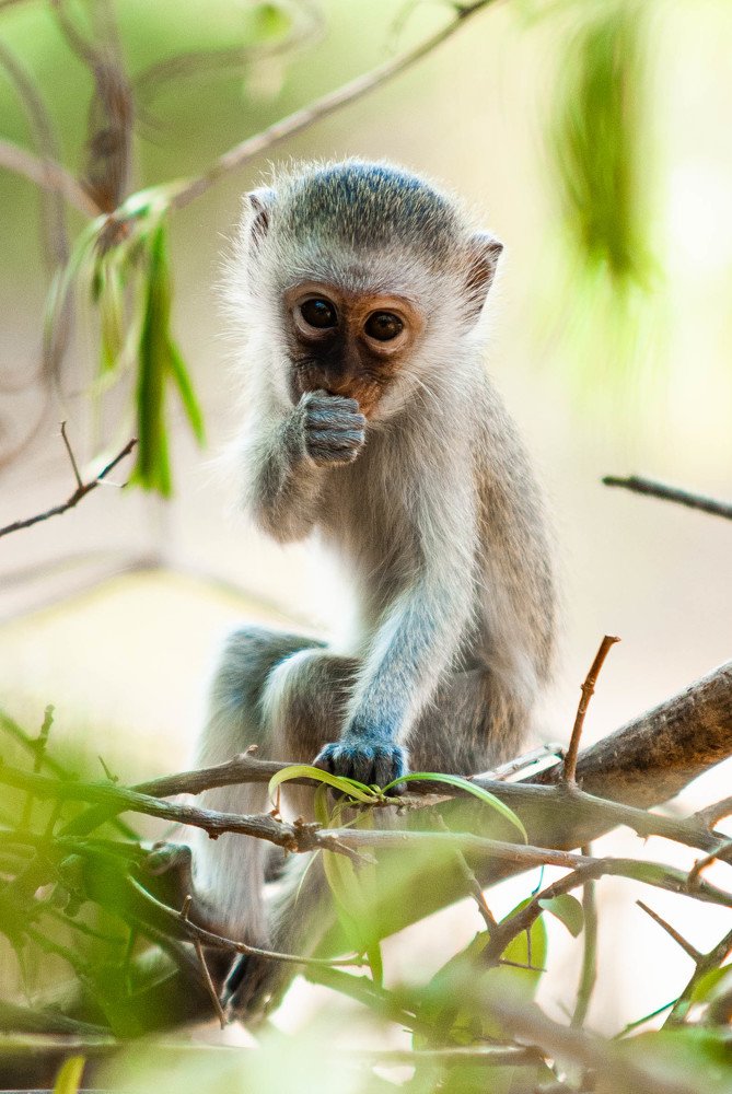 Фотография автора konstantin zhdanov