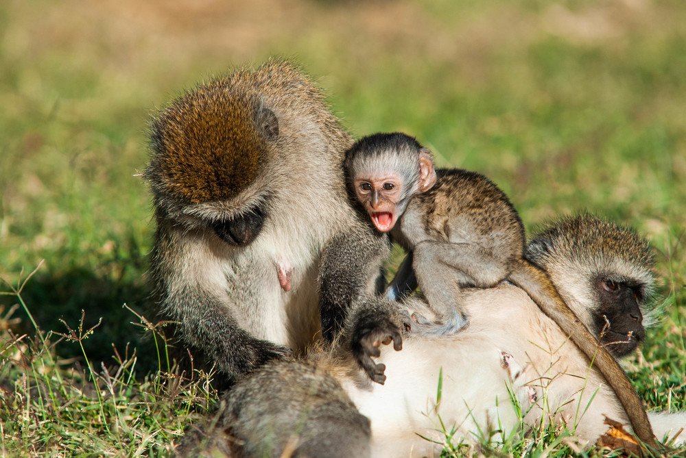 Фотография автора konstantin zhdanov