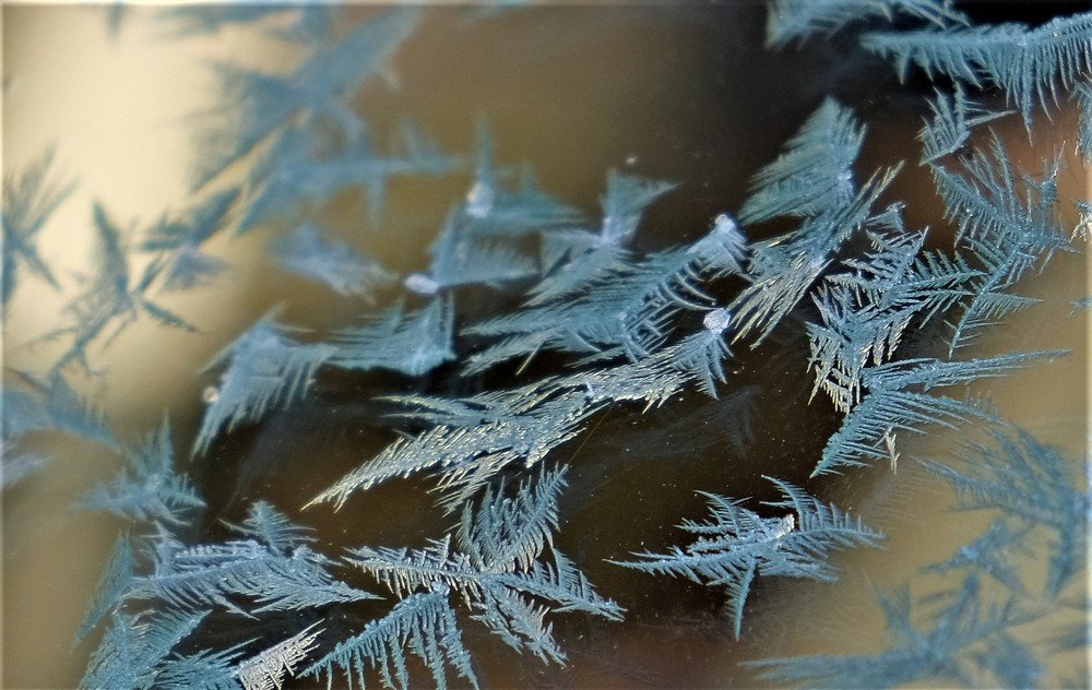 Photograph by Елена Кустова