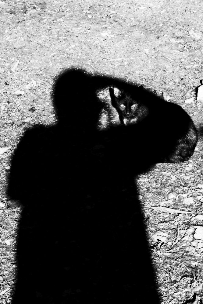 Фотография автора Josef Nový