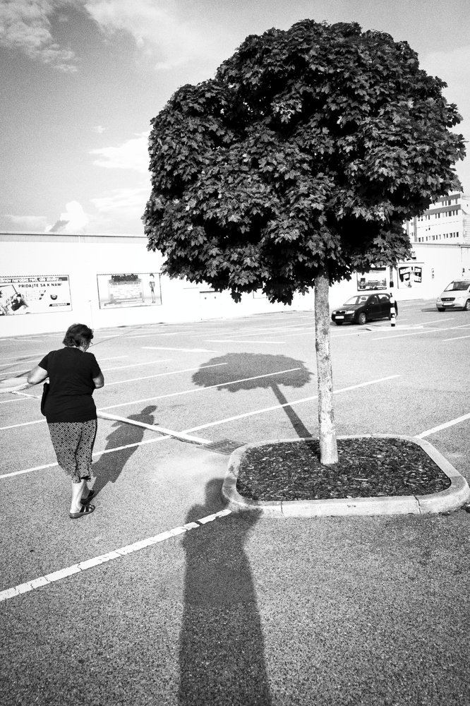 Фотография автора Josef Nový