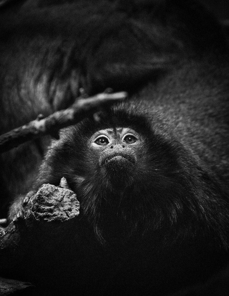 Photograph by Ольга Шаурина