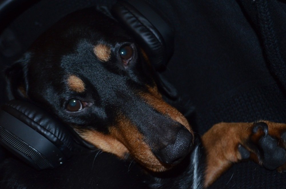 Фотография автора Евгения Илина