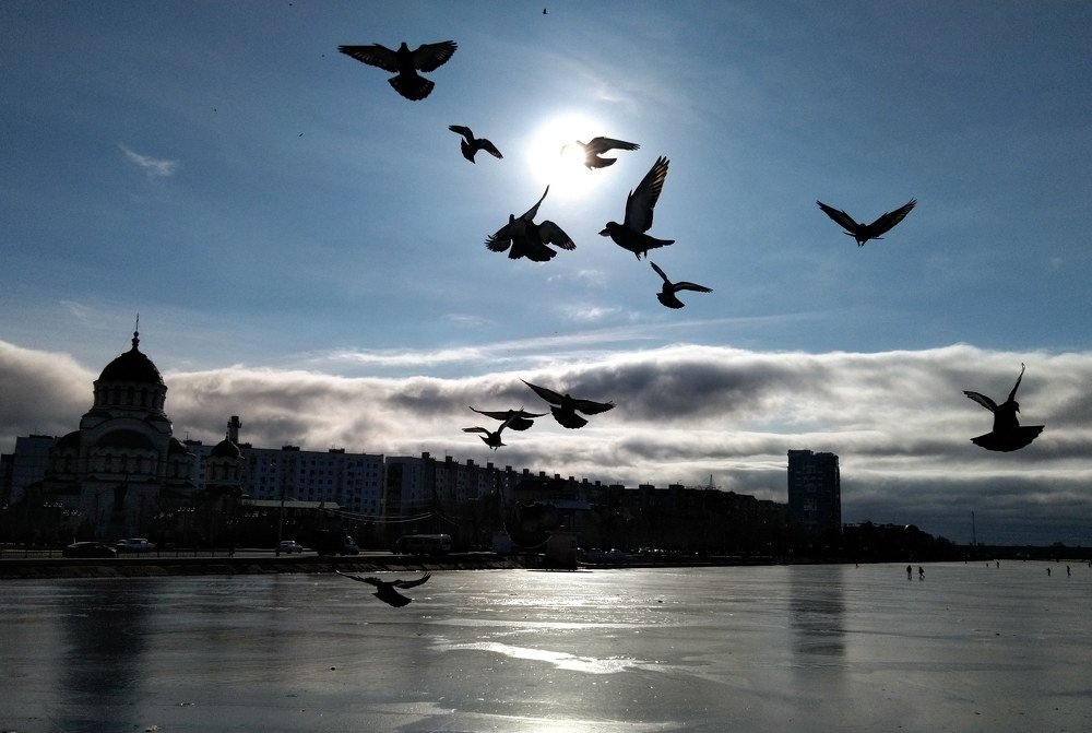 Photograph by Елена Кустова