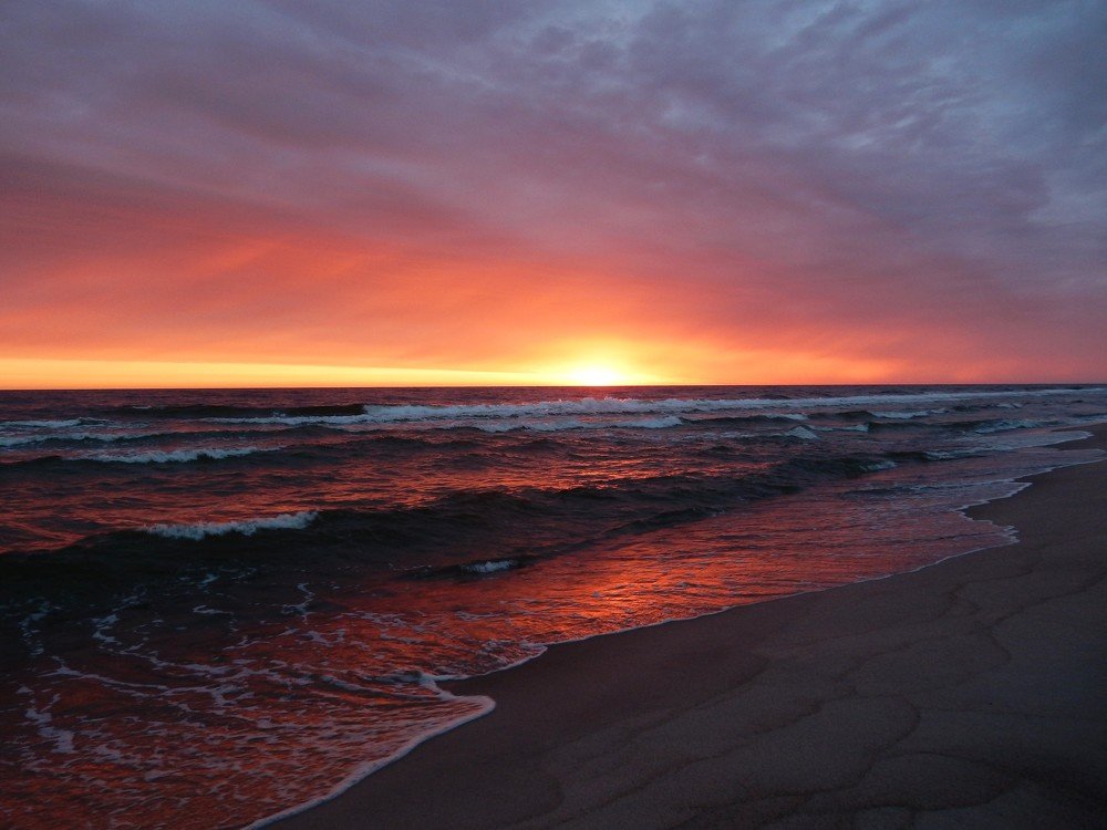Photograph by Елена Гуляева
