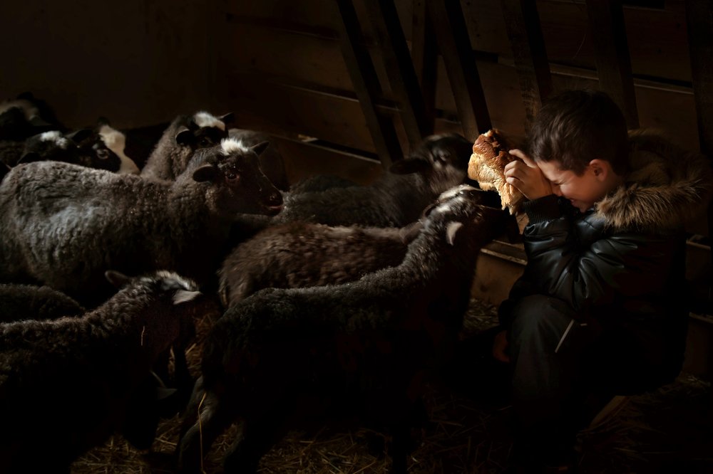 Photograph by Наталья Суслова