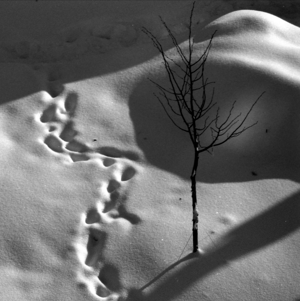 Photograph by Игорь