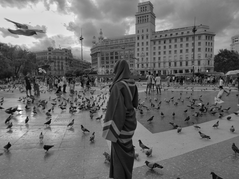 Palomas